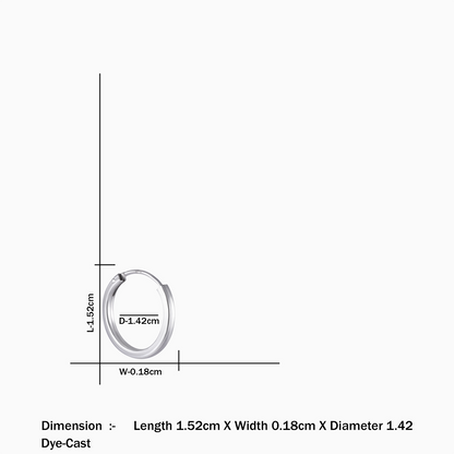 Shiny Silver Hoop Earrings