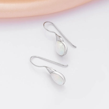 Drop Leaf Silver Earrings - Tweov Jewels